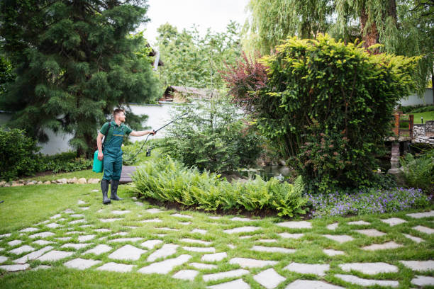 Best Affordable Pest Control Services  in Seaford, NY