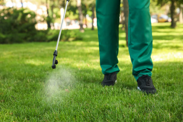 Wasp Removal Services in Seaford, NY