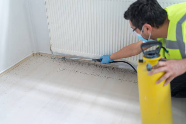  Seaford, NY Pest Control Pros