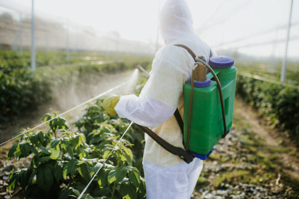 Best Residential Pest Control  in Seaford, NY